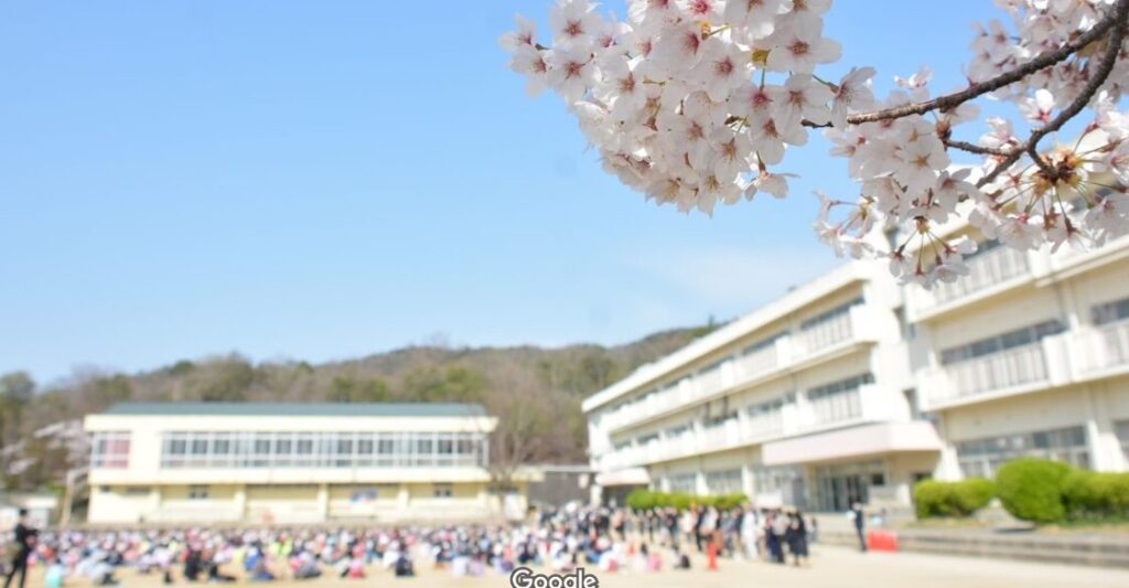 山本太郎の小学校