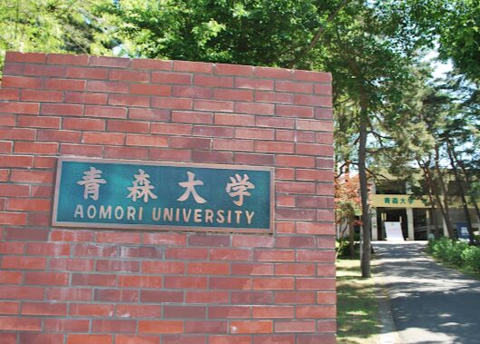 立花孝志の娘の大学